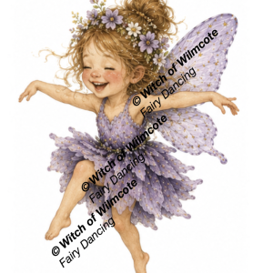 Fairy Artwork